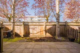 Photo 2: 2 5355 201A Street in Langley: Langley City Townhouse for sale in "PACIFIC COURT" : MLS®# R2874057