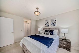 Photo 17: 59 Sandarac Circle NW in Calgary: Sandstone Valley Row/Townhouse for sale : MLS®# A2116581