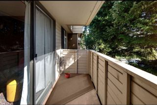Photo 4: 32 2433 KELLY Avenue in Port Coquitlam: Central Pt Coquitlam Condo for sale in "Orchard Valley" : MLS®# R2558927