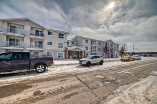Photo 24: 202 5555 Falsbridge Drive NE in Calgary: Falconridge Apartment for sale : MLS®# A2118008