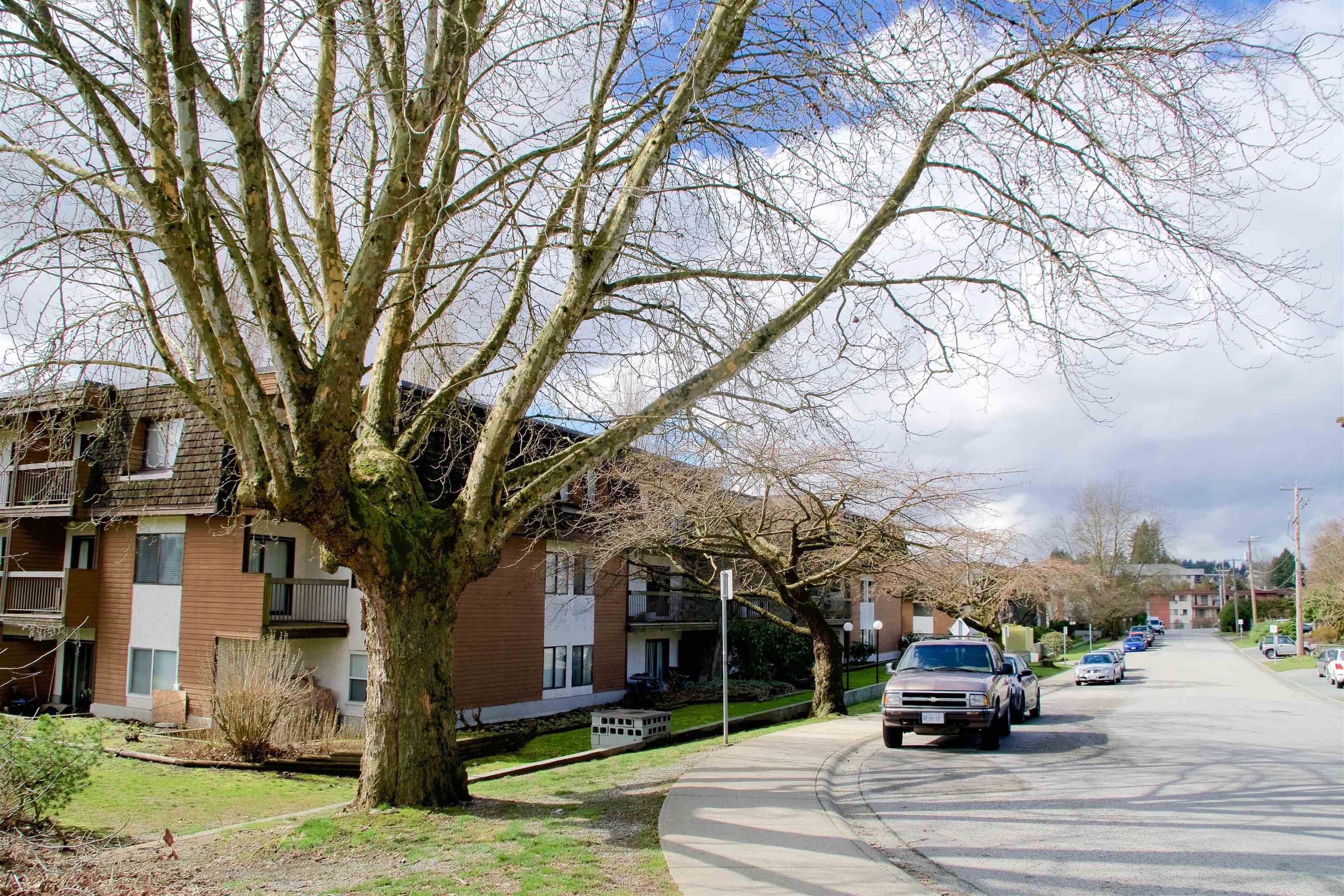 Main Photo: 105 33850 FERN Street in Abbotsford: Central Abbotsford Condo for sale in "Fernwood Manor" : MLS®# R2652130