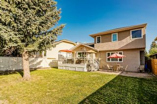 Photo 14: 313 Sunmills Drive SE in Calgary: Sundance Detached for sale : MLS®# A1251191