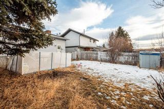 Photo 35: 3427 56 Street NE in Calgary: Temple Detached for sale : MLS®# A2104752