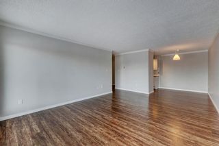 Photo 6: 117 816 89 Avenue SW in Calgary: Haysboro Apartment for sale : MLS®# A2022209