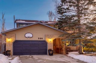 Photo 50: 339 Woodside Bay SW in Calgary: Woodlands Detached for sale : MLS®# A2006218