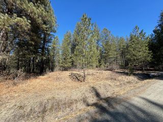 Photo 1: Lot 1 SNOWBALL CREEK ROAD in Grand Forks: Vacant Land for sale : MLS®# 2475470
