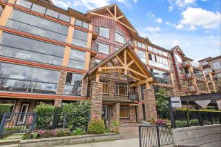 Photo 3: 386 8288 207A Street in Langley: Willoughby Heights Condo for sale in "Yorkson Creek" : MLS®# R2582373