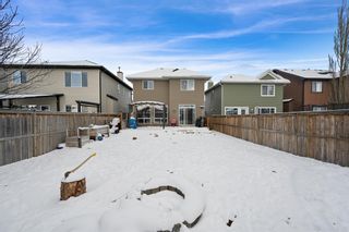 Photo 37: 8 Evansdale Way NW in Calgary: Evanston Detached for sale : MLS®# A2022181