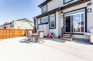Photo 46: 66 Skyview Point Rise NE in Calgary: Skyview Ranch Detached for sale : MLS®# A1212489