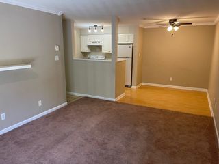 Photo 5: 210 12206 224 Street in Maple Ridge: East Central Condo for sale in "COTTONWOOD PLACE" : MLS®# R2710099