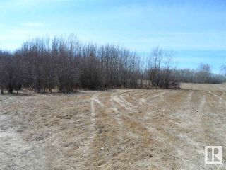 Photo 9: 12 Ivan Road 587104 Hwy 38: Rural Sturgeon County Rural Land/Vacant Lot for sale : MLS®# E4239338