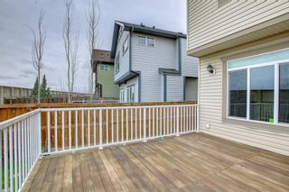 Photo 43: 237 Panton Way NW in Calgary: Panorama Hills Detached for sale : MLS®# A1217303
