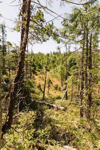 Photo 15: LOT 4 Hawkes Rd in Ucluelet: PA Ucluelet Land for sale (Port Alberni)  : MLS®# 911987