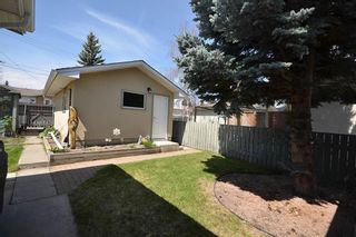 Photo 29: 10419 2 Street SE in Calgary: Willow Park Detached for sale : MLS®# C4296680