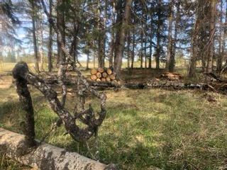 Photo 15: 393002 Range Road 6-0: Rural Clearwater County Residential Land for sale : MLS®# A2141852