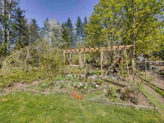 Photo 29: 24255 54 Avenue in Langley: Salmon River House for sale : MLS®# R2569756