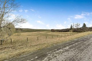 Photo 39: 64144 434 Avenue W: Rural Foothills County Detached for sale : MLS®# A2127526