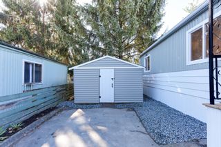 Photo 6: 8 13650 80 Avenue in Surrey: Bear Creek Green Timbers Manufactured Home for sale : MLS®# R2861710
