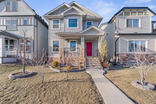 Main Photo: 166 Skyview Springs Crescent NE in Calgary: Skyview Ranch Detached for sale : MLS®# A2118772
