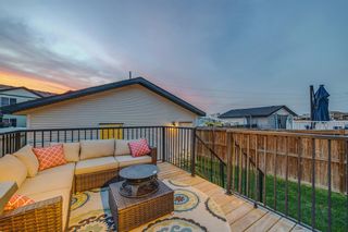 Photo 27: 343 Copperpond Boulevard SE in Calgary: Copperfield Detached for sale : MLS®# A2054823