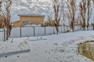 Photo 47: 269 WESTCHESTER Green: Chestermere Detached for sale : MLS®# A2010625