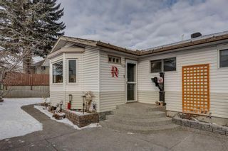Photo 6: 6512 36 Avenue NW in Calgary: Bowness Detached for sale : MLS®# A2108909