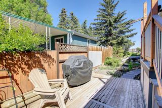 Photo 29: 192 Huntwell Road NE in Calgary: Huntington Hills Detached for sale : MLS®# A1240492