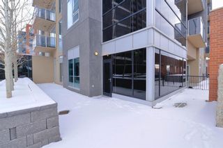 Photo 17: 206 1320 1 Street SE in Calgary: Beltline Apartment for sale : MLS®# A2023089