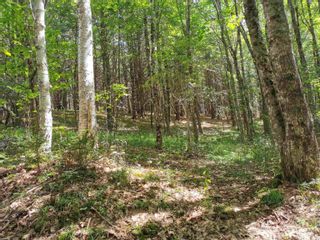 Photo 6: 1817 Northwest Road in Blockhouse: 405-Lunenburg County Vacant Land for sale (South Shore)  : MLS®# 202318168