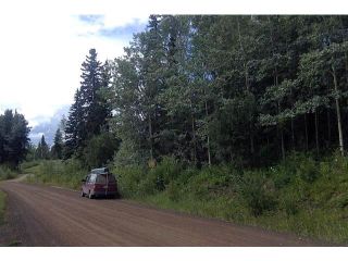 Photo 6: LOT 21 BRAYANSTON Drive in Smithers: South Francois Land for sale (Burns Lake)  : MLS®# R2710049