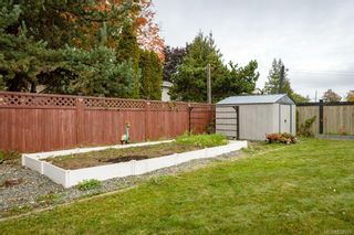 Photo 44: 599 23rd St in Courtenay: CV Courtenay City House for sale (Comox Valley)  : MLS®# 857975