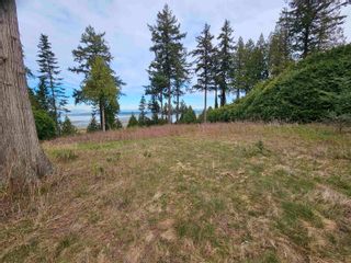 Photo 5: 13005 CRESCENT Road in Surrey: Elgin Chantrell Land for sale in "Crescent Heights" (South Surrey White Rock)  : MLS®# R2867004