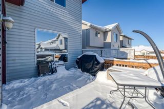 Photo 32: 151 Cranwell Green SE in Calgary: Cranston Detached for sale : MLS®# A2010647