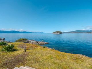 Photo 28: 3941 FRANCIS PENINSULA Road in Madeira Park: Pender Harbour Egmont House for sale (Sunshine Coast)  : MLS®# R2562951