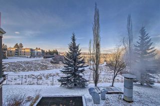 Photo 9: 204 6 Hemlock Crescent SW in Calgary: Spruce Cliff Apartment for sale : MLS®# A2110138