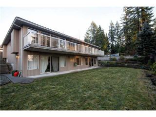 Photo 17: 1969 DUNROBIN Crescent in North Vancouver: Blueridge NV House for sale : MLS®# V1038515
