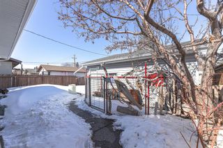 Photo 33: 440 Malvern Close NE in Calgary: Marlborough Park Detached for sale : MLS®# A2035600