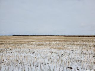 Photo 3: Grain Land - RM of Wallace #243 in Wallace: Farm for sale (Wallace Rm No. 243)  : MLS®# SK949846
