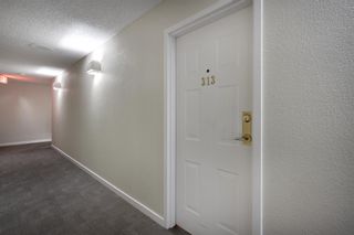 Photo 27: 313 9800 Horton Road SW in Calgary: Haysboro Apartment for sale : MLS®# A2006085