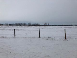 Photo 4: Hwy 28 north of Twp 564: Rural Sturgeon County Rural Land/Vacant Lot for sale : MLS®# E4272961