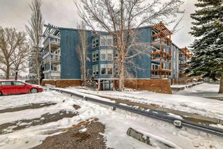 Main Photo: 225 820 89 Avenue SW in Calgary: Haysboro Apartment for sale : MLS®# A2117082