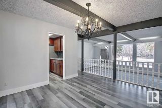 Photo 27: 12 QUESNELL Road in Edmonton: Zone 22 House for sale : MLS®# E4296947