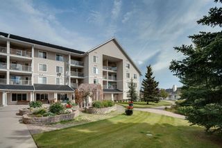 Photo 8: 319 305 1 Avenue NW: Airdrie Apartment for sale : MLS®# A1148151