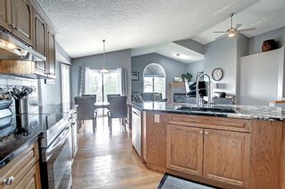 Photo 18: 168 COVE Crescent: Chestermere Detached for sale : MLS®# A1228885