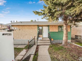 Photo 5: 3816 17B Avenue in Edmonton: Zone 29 House for sale : MLS®# E4386957