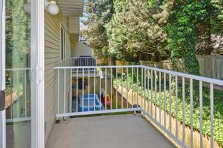 Photo 24: 41 3087 IMMEL Street in Abbotsford: Central Abbotsford Townhouse for sale in "Clayburn Estates" : MLS®# R2781931