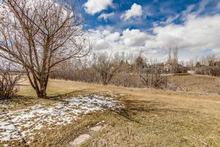 Photo 34: 62 Downey Road: Okotoks Detached for sale : MLS®# A2121188
