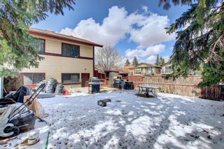 Photo 19: 339 Bernard Mews NW in Calgary: Beddington Heights Detached for sale : MLS®# A1204842