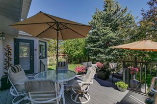 Photo 14: 7008 Christie Briar Manor SW in Calgary: Christie Park Detached for sale : MLS®# A2143279
