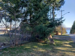 Photo 7: 260 5th Ave in CAMPBELL RIVER: CR Campbell River Central Land for sale (Campbell River)  : MLS®# 836042